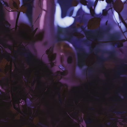 Damn Dawson Multi-Kit